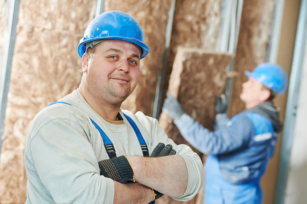 Best Basement Insulation  in Knik Fairview, AK